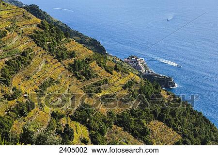Stock Image - Village of Manarola, Cinque Terre; Manarola, Liguria, Italy. Fotosearch