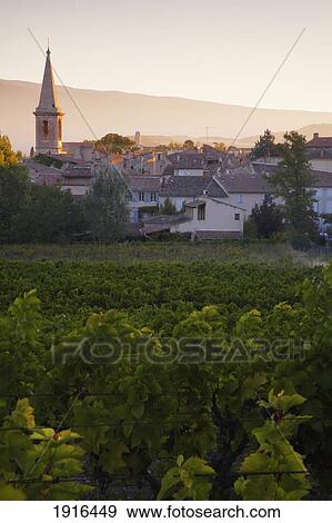 Village Of Saint-Didier And Vineyard View Large Photo Image Stock Photo - Village Of Saint-Didier And Vineyard. Fotosearch