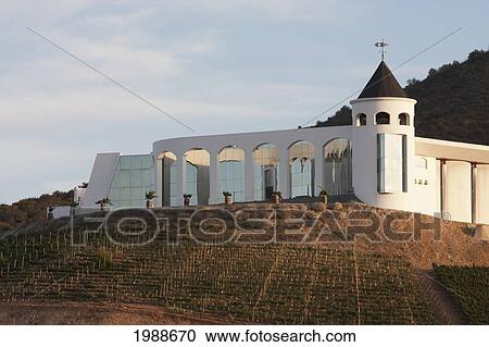 Stock Image - Vina Indomita Winery, Casablanca, Valparaiso Region, Chile. Fotosearch