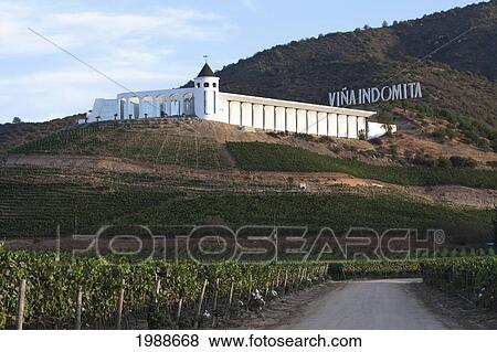 Stock Photo - Vina Indomita Winery, Casablanca, Valparaiso Region, Chile. Fotosearch