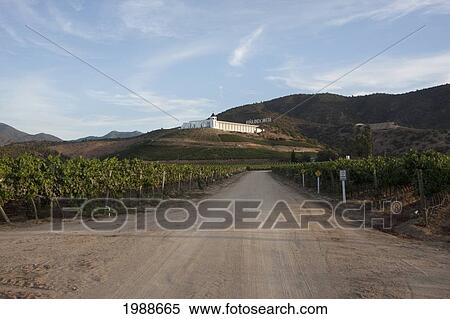 Vina Indomita Winery, Casablanca, Valparaiso Region, Chile View Large Photo Image Stock Photography - Vina Indomita Winery, Casablanca, Valparaiso Region, Chile. Fotosearch