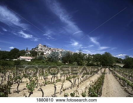Vineyard And Small Village In Distance View Large Photo Image Stock Image - Vineyard And Small Village In Distance. Fotosearch