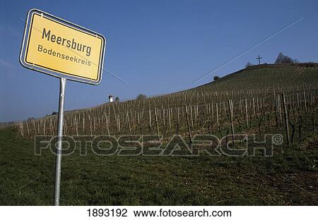 Stock Image - Vineyard. Fotosearch