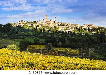 Vineyards and San Gimignano; Tuscany, Italy View Large Photo Image Stock Photo - Vineyards and San Gimignano; Tuscany, Italy. Fotosearch