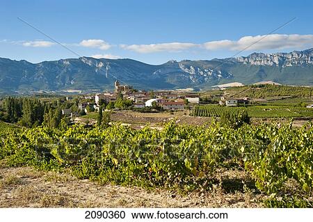 Vineyards And View Of Laguardia, Basque Country, Spain View Large Photo Image Stock Image - Vineyards And View Of Laguardia, Basque Country, Spain. Fotosearch