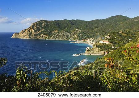 Stock Photo - Vineyards in Monterosso al Mare, Cinque Terre; Monterosso al Mare, Liguria, Italy. Fotosearch
