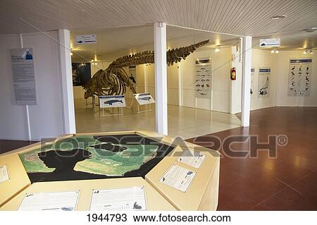 Stock Image - Visitor Centre on Istmo Carlos Ameghino, Peninsula Valdes, Chubut, Argentina. Fotosearch