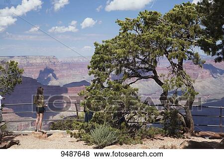 Stock Photo - Visitors at Hermit's Rest view point, Grand Canyon National Park; Arizona, United States of America. Fotosearch