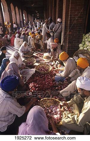 Voluntary Service For Langar, Golden Temple View Large Photo Image Stock Image - Voluntary Service For Langar, Golden Temple. Fotosearch