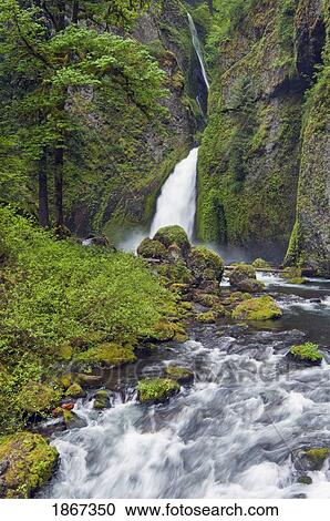 Stock Image - Wahclella Falls And Tanner Creek, Columbia River Gorge, Oregon, Usa. Fotosearch