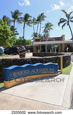 Waikiki Aquarium; Waikiki, Oahu, Hawaii, United States of America View Large Photo Image Stock Image - Waikiki Aquarium; Waikiki, Oahu, Hawaii, United States of America. Fotosearch