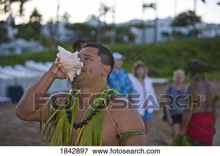 Stock Photo - Wailea, Hawaii, Usa, Hawaiian Man Blowing A Conch Shell. Fotosearch