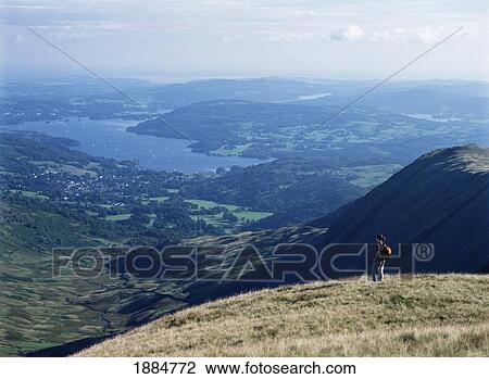 Walker Admiring View On The Descent From Rydal Head Looking Towards Ambelside And Lake Windermere View Large Photo Image Stock Image - Walker Admiring View On The Descent From Rydal Head Looking Towards Ambelside And Lake Windermere. Fotosearch
