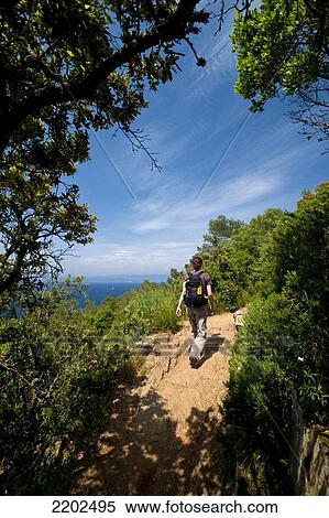 Stock Photography - Walker along trail through forest on the island of Port-Cros, Port-Cros National Park; Provence, France. Fotosearch