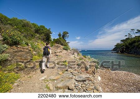 Walker going around small bay on the island of Port-Cros, Port-Cros National Park; Provence, France View Large Photo Image Stock Image - Walker going around small bay on the island of Port-Cros, Port-Cros National Park; Provence, France. Fotosearch
