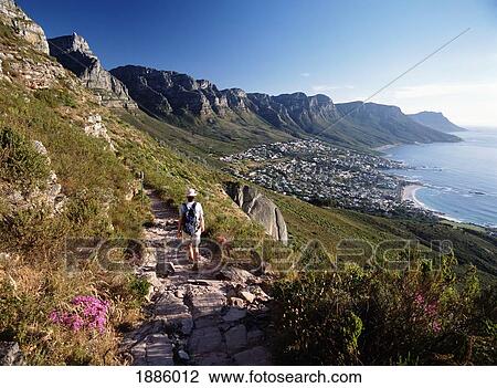 Walker Going Down Path From The Lions Head Looking Down The Coast To Camps Bay And The 12 Apostles View Large Photo Image Stock Image - Walker Going Down Path From The Lions Head Looking Down The Coast To Camps Bay And The 12 Apostles. Fotosearch