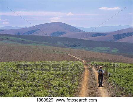 Stock Photo - Walker Going Down Track. Fotosearch