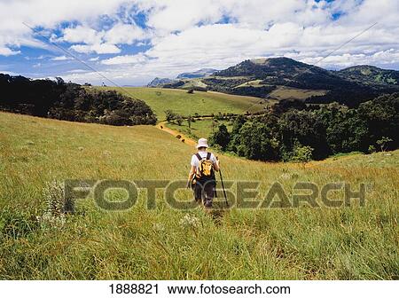 Stock Image - Walker In Meadow, Rear View. Fotosearch