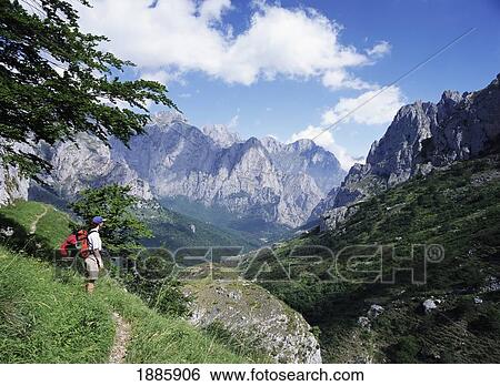 Walker In The Picos De Europa View Large Photo Image Stock Photograph - Walker In The Picos De Europa. Fotosearch