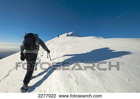 Stock Image - Walkers climbing the snowy slopes of Sgorr Dhearg in winter near Glen Coe; Highlands, Scotland. Fotosearch