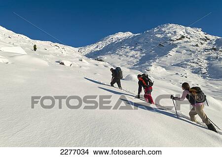 Picture - Walkers going through heavy snow up Beinn Respiol, Ardnamurchan peninsula, Highlands, Scotland. Fotosearch