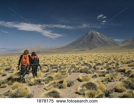 Stock Photography - Walkers Looking Across Grasslands Towards Volcano In The Andes Near San Pedro De Atacama. Fotosearch
