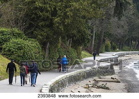 Walking along the seawall; Vancouver, British Columbia, Canada View Large Photo Image Stock Photo - Walking along the seawall; Vancouver, British Columbia, Canada. Fotosearch