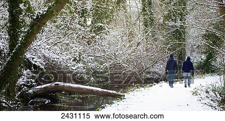 Stock Photography - Walking on a path through a forest in winter; Winchester, Hampshire, England. Fotosearch