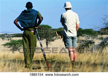 Walking Safari And Looking At A Giraffe View Large Photo Image Picture - Walking Safari And Looking At A Giraffe. Fotosearch