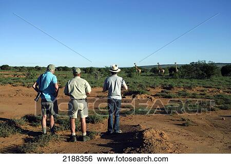 Walking safari, Samara Private Game Reserve; South Africa View Large Photo Image Stock Photograph - Walking safari, Samara Private Game Reserve; South Africa. Fotosearch
