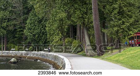 Walkway along the water's edge on the coast; Vancouver, British Columbia, Canada View Large Photo Image Stock Photograph - Walkway along the water's edge on the coast; Vancouver, British Columbia, Canada. Fotosearch