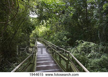 Stock Photography - Walkway, Iguazu Falls National Park, Misiones, Argentina. Fotosearch