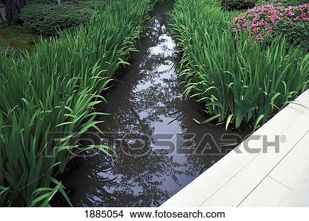 Picture - Walkway Over Water In Traditional Garden, Close Up. Fotosearch