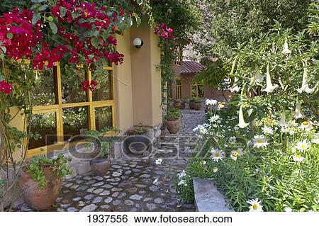 Stock Photograph - Walkway Through Garden Of Guest House At Willka T'ika Retreat; Sacred Valley Peru. Fotosearch