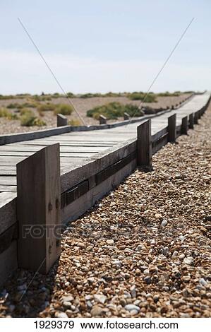 Stock Photo - Walkways Over The Shingle At Dungeness In Kent, Uk. Fotosearch