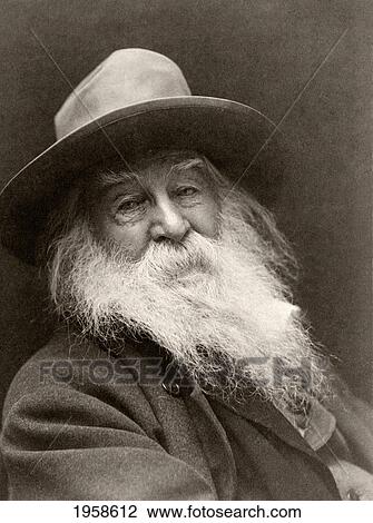 Stock Image - Walt Whitman, 1819-1892. American Poet. After A 19Th Century Photograph By George Cox.. Fotosearch