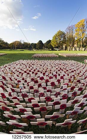 Stock Photography - War memorial crosses with red poppies in a park in autumn; Gateshead, Tyne and Wear, England. Fotosearch