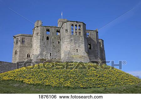 Warkworth, Northumberland, England; Warkworth Castle View Large Photo Image Stock Photograph - Warkworth, Northumberland, England; Warkworth Castle. Fotosearch
