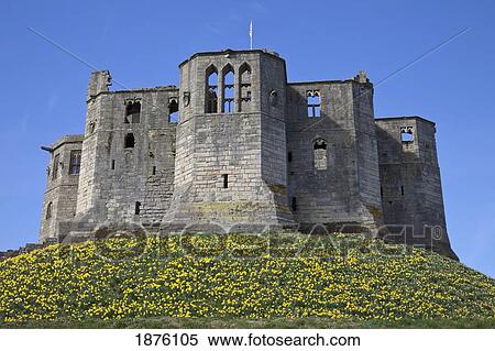 Warkworth, Northumberland, England; Warkworth Castle View Large Photo Image Stock Photography - Warkworth, Northumberland, England; Warkworth Castle. Fotosearch