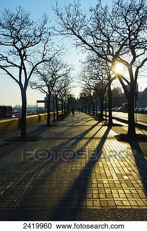 Warm sunlight on the walkway with shadows of leafless trees along a street; Hamburg, Germany View Large Photo Image Stock Image - Warm sunlight on the walkway with shadows of leafless trees along a street; Hamburg, Germany. Fotosearch