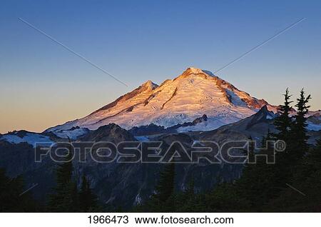 Washington, Cascade Mountains, View Of Mount Baker At Sunrise From Artist Ridge. View Large Photo Image Stock Image - Washington, Cascade Mountains, View Of Mount Baker At Sunrise From Artist Ridge.. Fotosearch