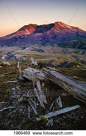 Washington, Mount St. Helens National Volcanic Monument, Loowit Trail On Johnston Ridge, Mount St. Helens At Sunset. View Large Photo Image Stock Photo - Washington, Mount St. Helens National Volcanic Monument, Loowit Trail On Johnston Ridge, Mount St. Helens At Sunset.. Fotosearch