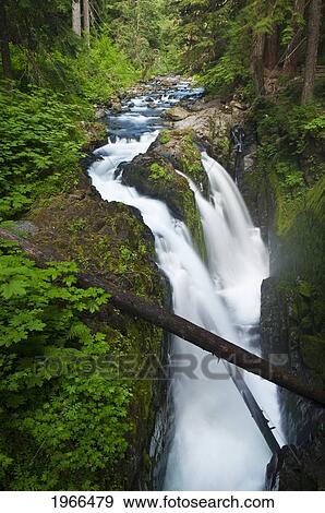 Washington, Olympic National Park, Sol Duc Falls. View Large Photo Image Stock Photo - Washington, Olympic National Park, Sol Duc Falls.. Fotosearch