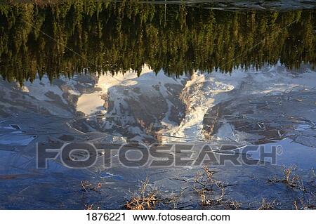 Stock Image - Washington, United States Of America; Reflection Of Mount Rainier In A Lake In Mt. Rainier National Park. Fotosearch