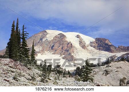 Washington, United States Of America; Snow On Mount Rainier At Paradise Park In Mt. Rainier National Park View Large Photo Image Stock Photograph - Washington, United States Of America; Snow On Mount Rainier At Paradise Park In Mt. Rainier National Park. Fotosearch