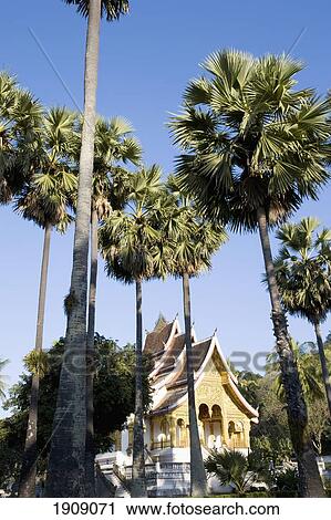 Wat Ho Prabang, Temple Inside Grounds Of Royal Palace Museum, Luang Prabang, Northern Laos View Large Photo Image Stock Image - Wat Ho Prabang, Temple Inside Grounds Of Royal Palace Museum, Luang Prabang, Northern Laos. Fotosearch