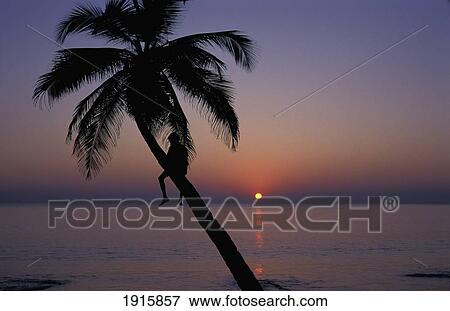 Watching Sunset Palolem Beach á View Large Photo Image Stock Photo - Watching Sunset Palolem Beach á. Fotosearch
