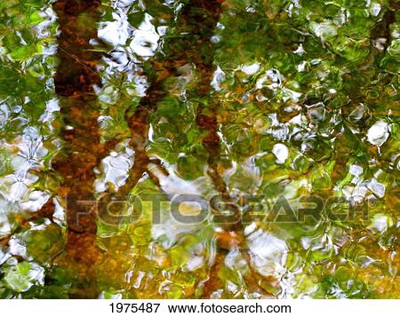 Water Abstract 17, Massachusetts, Seekonk, Caratunk Wildlife Refuge, Ripples And Reflections On Water Surface. View Large Photo Image Stock Photo - Water Abstract 17, Massachusetts, Seekonk, Caratunk Wildlife Refuge, Ripples And Reflections On Water Surface.. Fotosearch