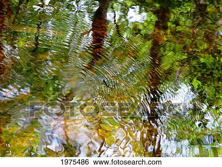 Stock Photograph - Water Abstract 18, Massachusetts, Seekonk, Caratunk Wildlife Refuge, Ripples And Reflections On Water Surface.. Fotosearch