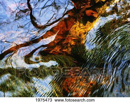 Stock Image - Water Abstract 24, Massachusetts, Seekonk, Caratunk Wildlife Refuge, Ripples And Reflections On Water Surface.. Fotosearch